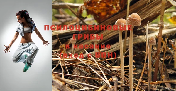 mdma Зерноград