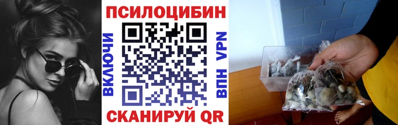 Галлюциногенные грибы мицелий  Купить закладки  Зея 